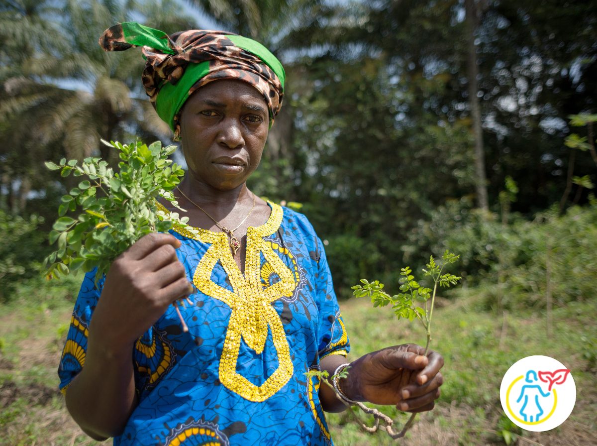 Eine Frau steht vor einem Feld und hält Moringa-Pflanzen in den Händen. UN Women Projekt in Guinea