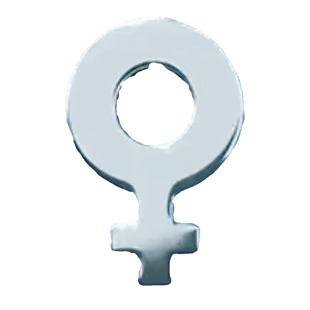 metallisches Icon - Frau