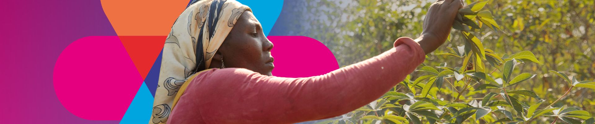 Landwirtin prüft ihre Ernte - im Hintergrund UN Women Design