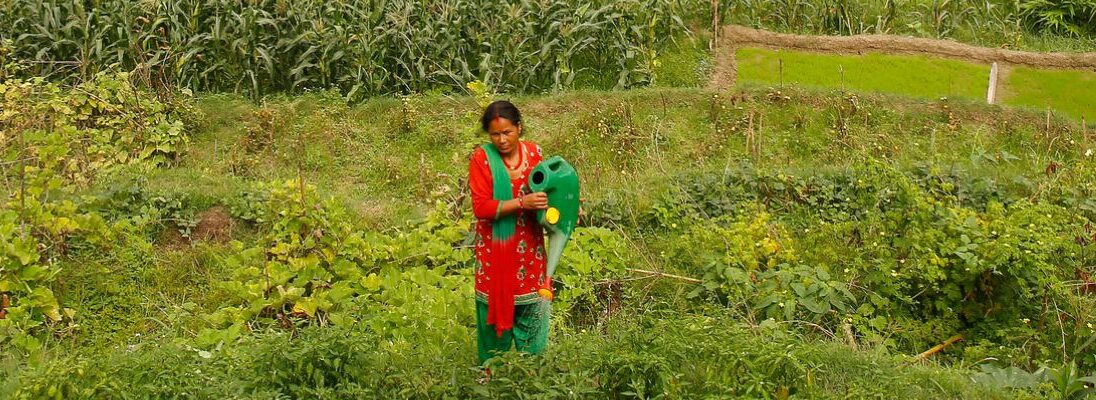 Landwirtin auf ihrer Farm