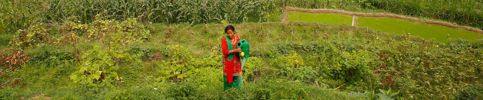 Landwirtin auf ihrer Farm