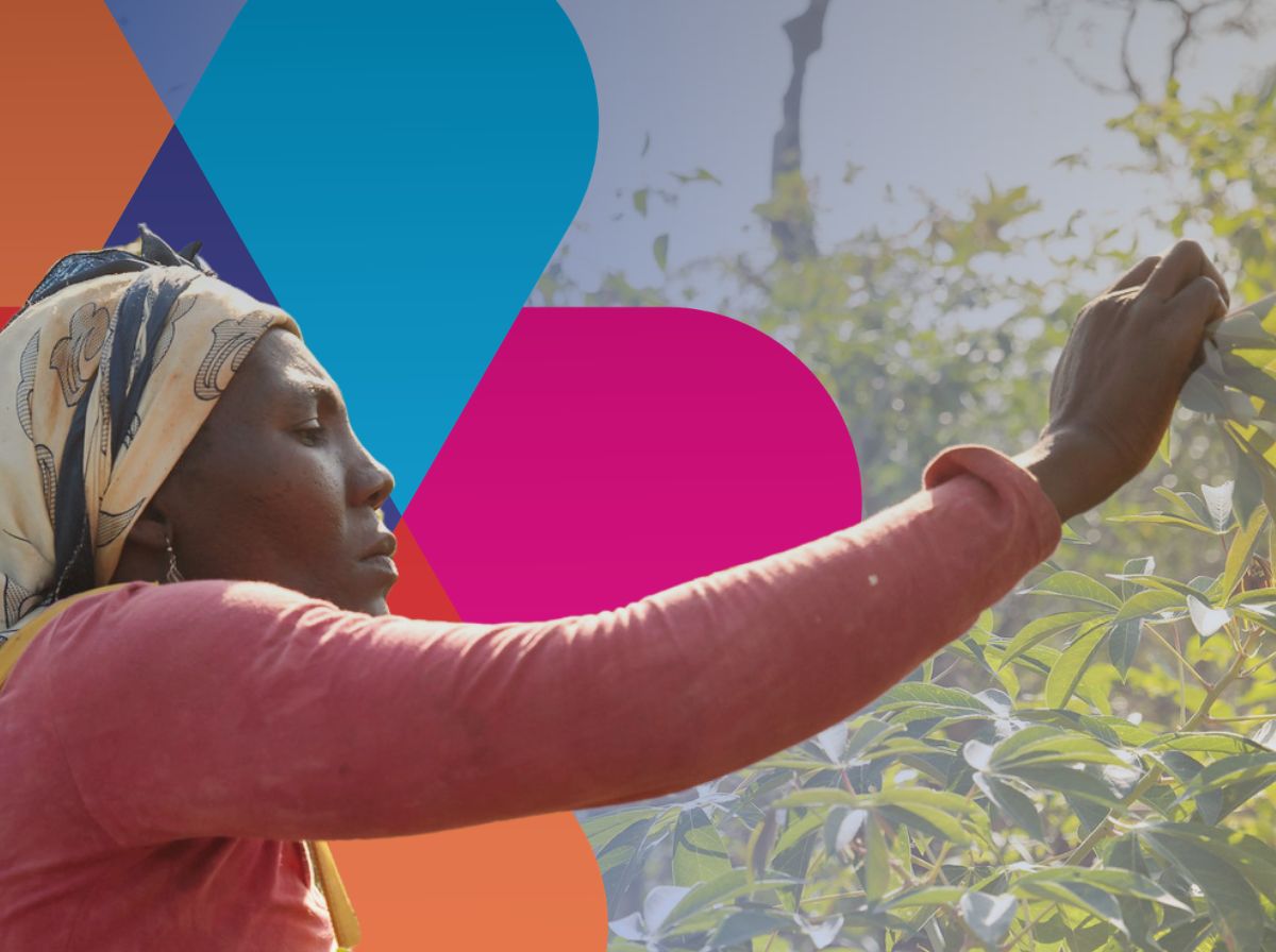 Landwirtin prüft ihre Ernte - im Hintergrund UN Women Design