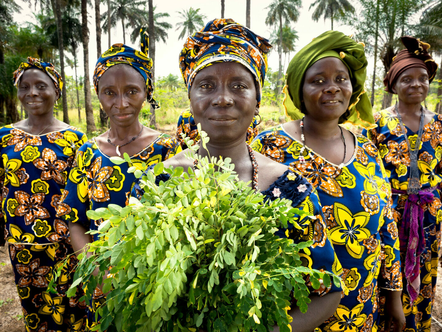 Guinea Rural Womens Cooperative. Credit UN Women/Joe Saade