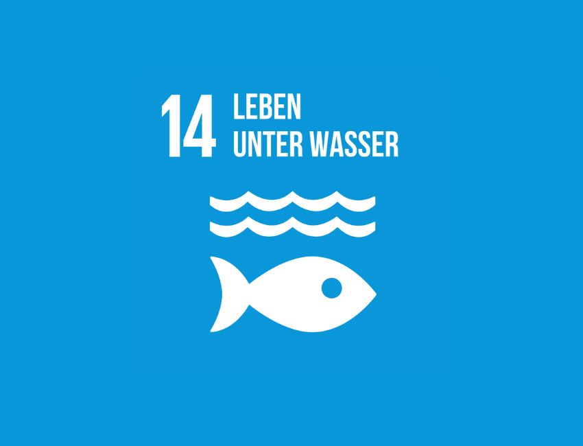 SDG 14 Icon Leben unter Wasser