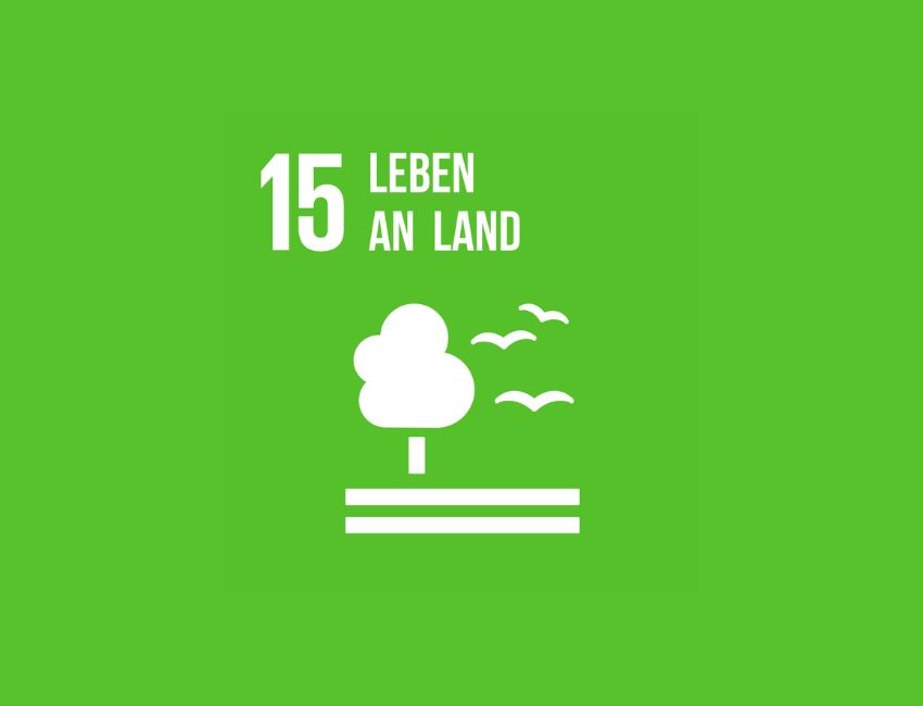 SDG 15 Icon Leben an Land