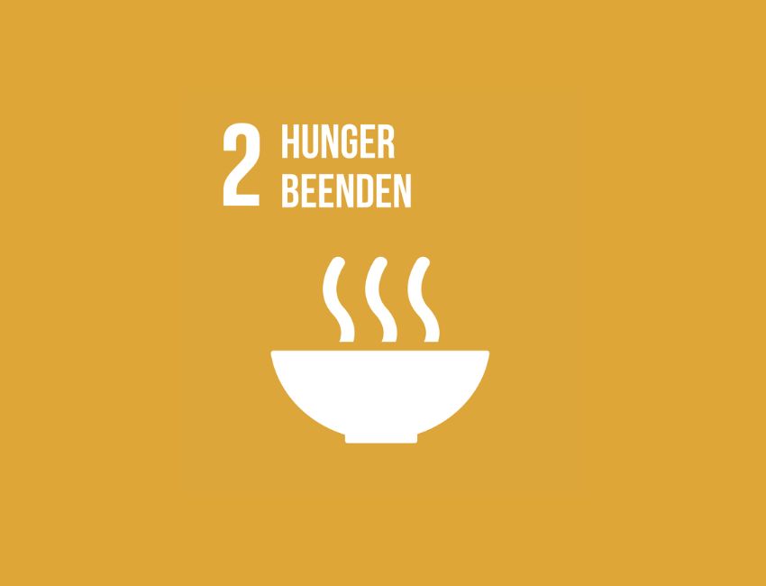 SDG 2 Icon Hunger beenden